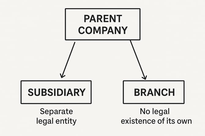 The diagram illustrates a companys organizational structure where the parent company is shown as a central entity holding ownership rights over its subsidiary which is a separate legal entity with its own legal status and liabilities In contrast the-1